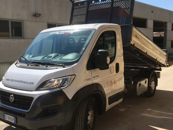 Ducato Maxi cassonato 35ql